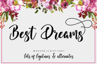 Best Dreams: A Script Handwritten Font for Branding