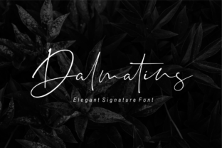 Dalmatins Font for Modern Web Branding
