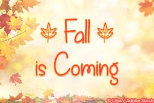 Fall is Coming: A Handwritten Font for Branding