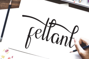 Fellant Script Font for Modern Campaign Design