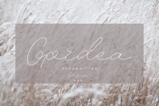 Gordea Font Review: A Modern Script for Designers