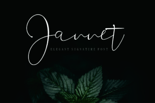 Jannet Font Review: Elegant Script for Designers