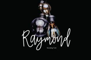 Raymond Typeface: Elevating Brand Identity
