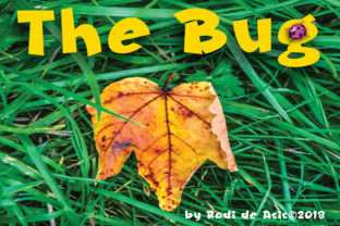 The Bug Blackletter Font for Editorial Design